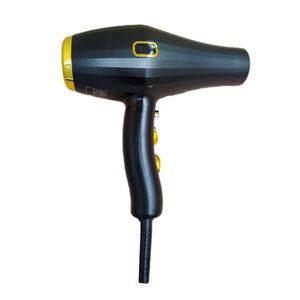 سشوار حرفه ای 2800 وات ولروس مدل vl 5066
